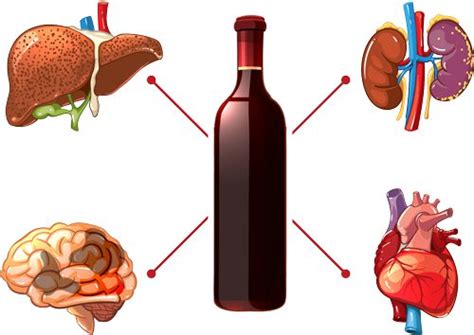 How Alcohol May Be Damaging To Your Body Waypoint Recovery Center