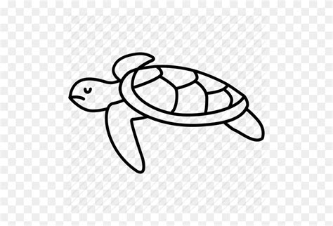 Turtle Clip Art Sea Turtle Clipart Black And White