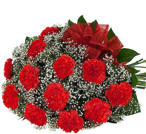12 Red Carnations Bouquet Bq4aa Canada Flowers