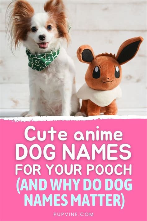 Cute Anime Dog Names For Your Pooch And Why Do Dog Names Matter Dog