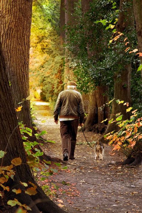 Old Man Walking His Dog In The Park