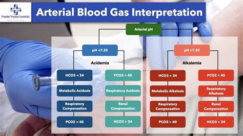 Arterial Blood Gas Interpretation Chart Porn Sex Picture