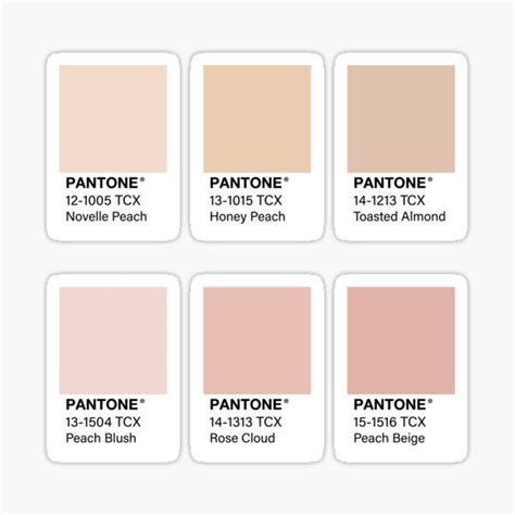 Nude Pink Pantone Color Swatch Pack Sticker By Jadeillustrates