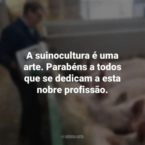 Frases Para O Dia Do Suinocultor A Suinocultura Uma Arte Parab Ns A