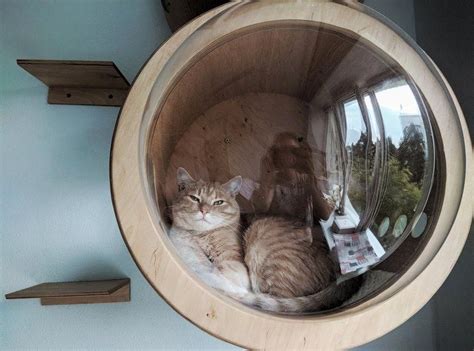 Cat House Indoor Cat Houses Cat Bed Unique Cat Beds Modern Cat Etsy
