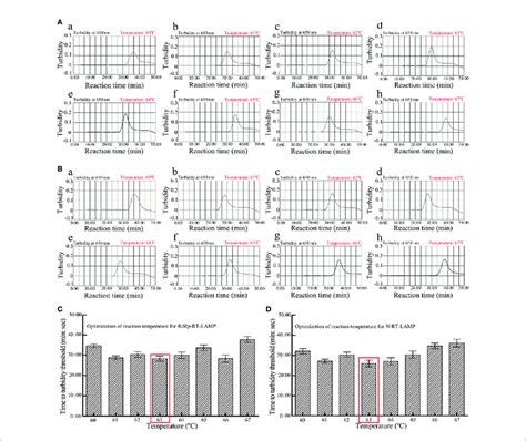 Optimization Of Amplification Temperature For RdRp LAMP A And