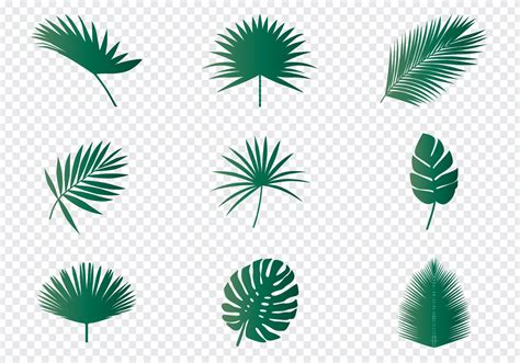 Palm Leaves 148126 Vector Art At Vecteezy