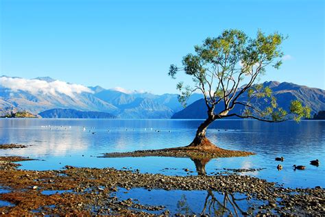 Lake Wanaka Wanaka South Island New Zealand Olga Nz Flickr