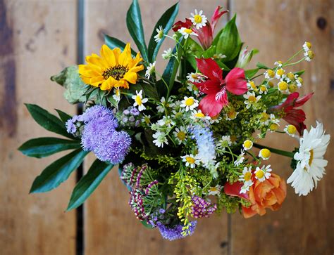 Get Well Flowers And Ts Same Day Delivery Allens