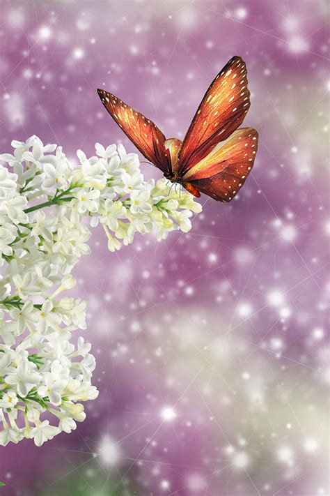 Spring Butterfly Iphone Wallpaper Hd
