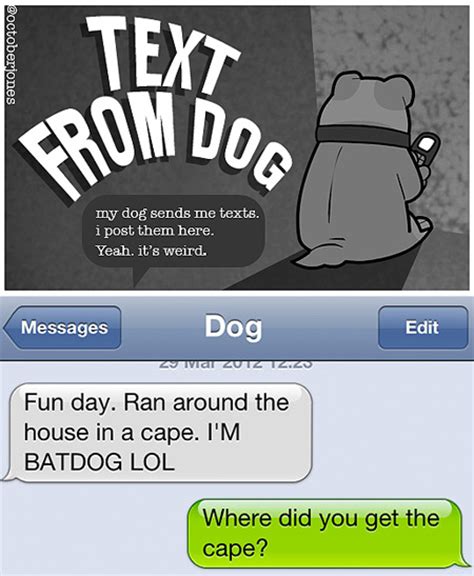 Top 5 Funniest Text Messages From A Dog Techeblog