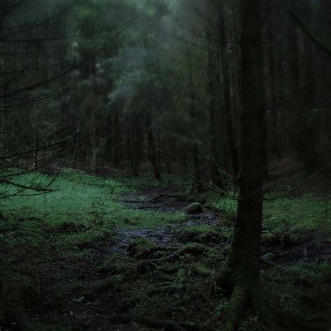 Deep In The Forest Dark Forest Aesthetic Dark Green Aesthetic Core