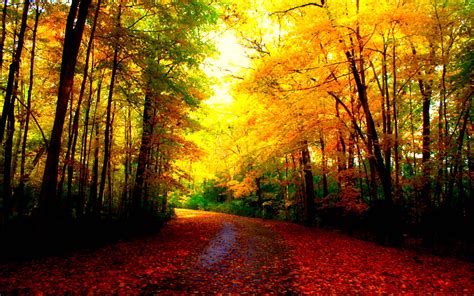 beautiful autumn desktop wallpapers top free beautiful autumn desktop backgrounds
