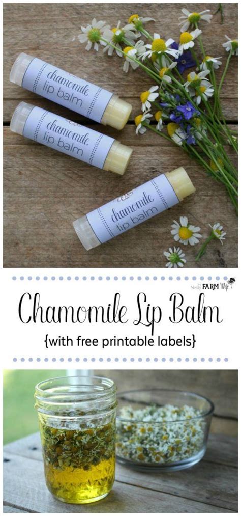 DIY Chamomile Lip Balm Recipe