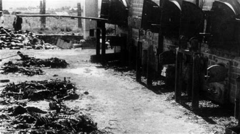 liberación de auschwitz la dramática historia de los sonderkommandos los judíos forzados a