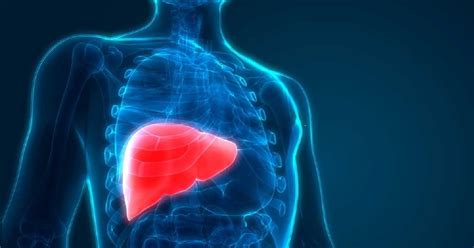 Kondisi ini bahkan menjadi salah satu penyebab utama dari kematian akibat kanker di seluruh dunia. Kanser Hati: Punca, Simptom dan Rawatan - The Diagnosa