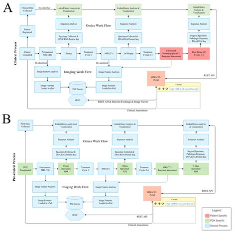A Clinical Workflow Associated With A Co Clinical Trial B