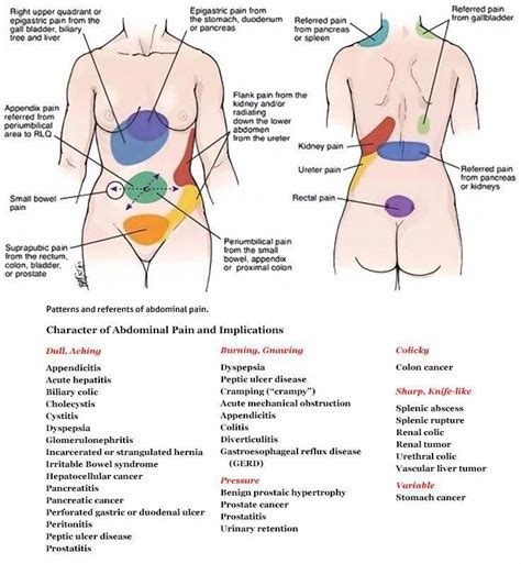 Does the pain tend to spread to your right side then to the. Dull Pain In Kidney Area Right Side - KIDKADS