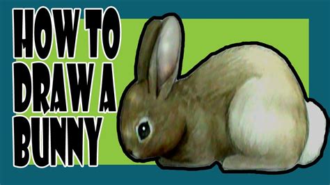 Look at these great step by step pictures! How to draw a bunny - YouTube