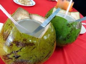 Ada yang kata air kelapa elok diminum semasa mengandung. 11 Manfaat Air Kelapa Hijau Untuk Ibu Hamil - Hamil.co.id