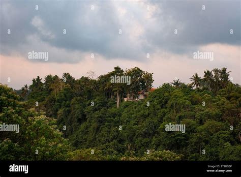 Discover a hidden oasis within Ubud's Campuhan Ridge Walk, where a