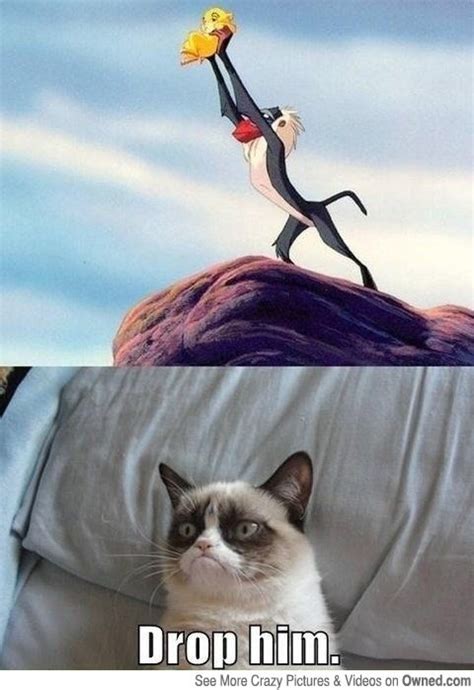 The Lion King Meets Grump Cat Funny Grumpy Cat Memes Funny Cat Memes