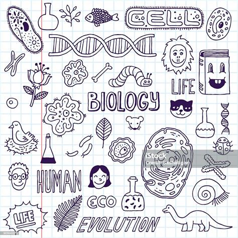 Biología Dibujo A Mano Ilustración Vectorial Escuela Portátil