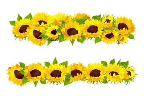 Yellow Sunflowers Border Cartoon Illustrations Royalty