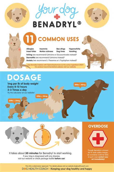 The most common side effects associated with incurin treatment included a loss of appetite and vomiting. How Much Benadryl for a Dog