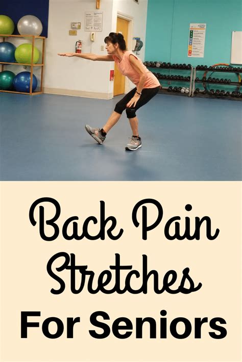 Back Pain Stretches For Seniors Fitness With Cindy