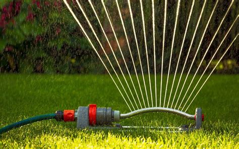 Different Types Of Lawn Sprinklers Which Is Best For Your Yard