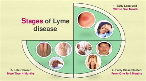 Lyme Disease