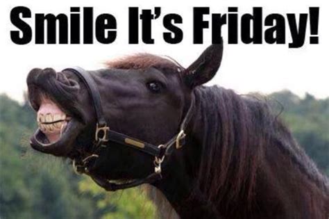 J On Twitter Its Friday Quotes Horses Horse Quotes Funny