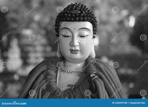 Monochrome Buddha Statue Stock Photo Image Of Person 220059780