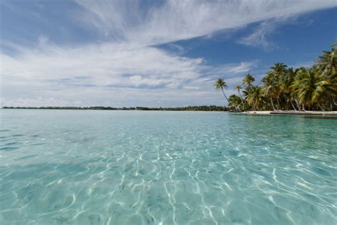 Brown wooden cottages, bora bora, french polynesia, nature, landscape. Motu in Bora Bora | Bora bora, Landscape, Outdoor