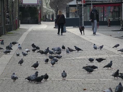 Photos de paris pendant la période de confinement. PHOTOS. Paris sous confinement : une obligation presque partout respectée, sous l'œil de la ...