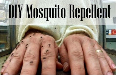 Have A Mosquito Free Summer With These 13 All Natural And Safe Diy