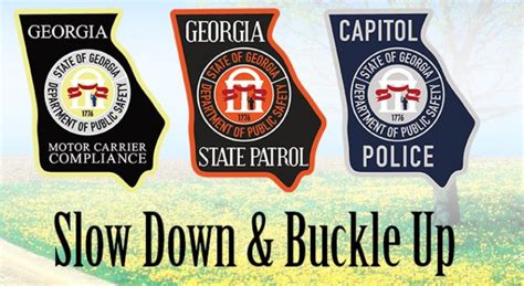 Georgia Department Of Public Safety Logo