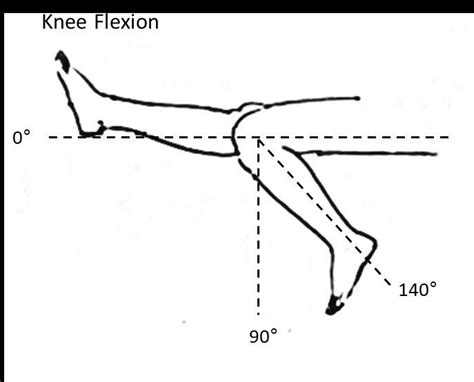 Knee Joint Flexion And Extension Download Scientific Diagram