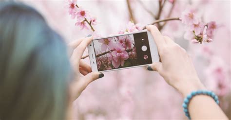 5 Tips To Make Your Phone Pictures Look Amazing Cartridge People