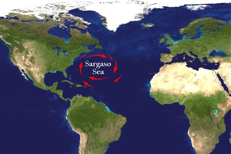 Sargasso Sea Utkarsh Ujjwal