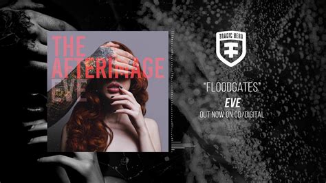 The Afterimage Floodgates Official Stream Youtube