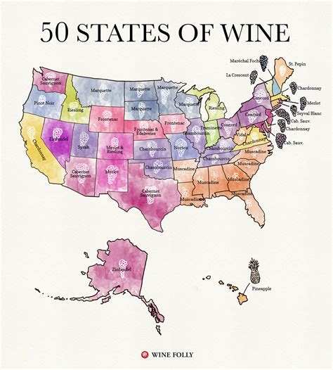 50 States Of Wine Map Wine Folly