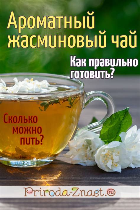 Зеленый чай с жасмином: от снижения веса до снятия стресса | Чай с ...