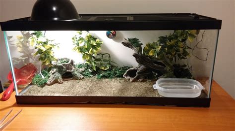 How To Set Up A Reptile Terrarium 8 Steps With Pictures Instructables