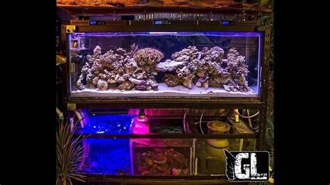 Greenleafs 150 Gallon Custom Reef Tank Youtube