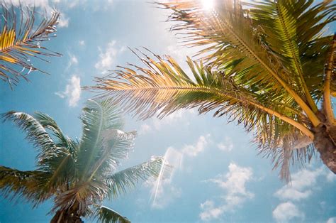 Have you been searching for a way to make your moving experience different? Best Places to Live in Palm Beach County - 2020 edition ...