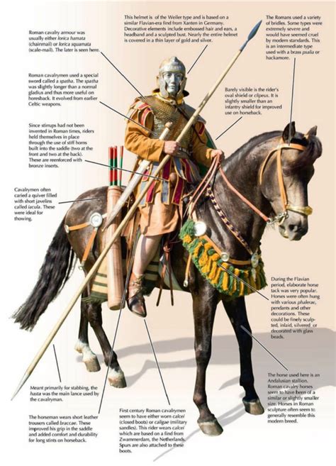 Roman Cavalry Imperial Romans New Zealand Roman Warriors Roman