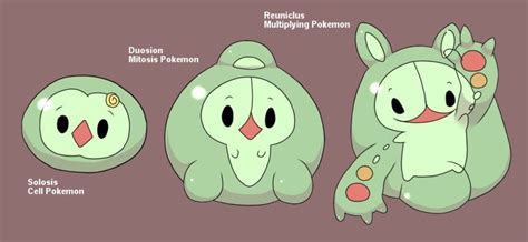 The Science Of Multiplying Pokemon A Theory On Reuniclus Pokémon Amino