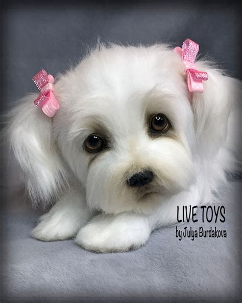 Maltese Puppy Realistic Stuffed Toy Cute Dog Plush Puppy Etsy